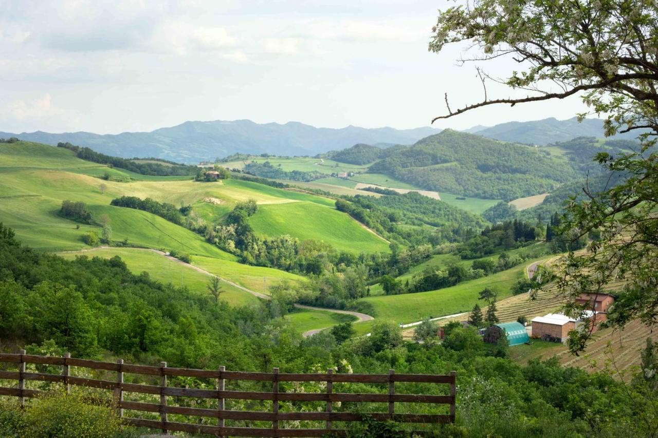 Cà Colmello - Country House *